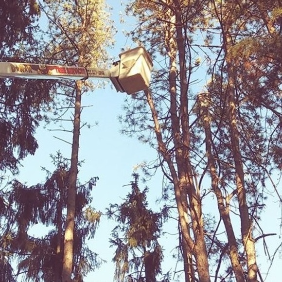 Meet your Posher, Bruce - Picture 1 of 1